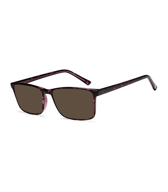 SFE-10830 sunglasses in Havana Lilac
