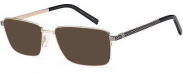 SFE-10749 sunglasses in Gold