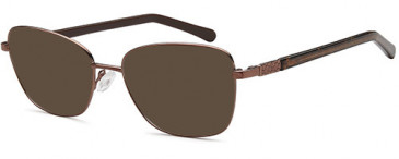 SFE-10746 sunglasses in Bronze