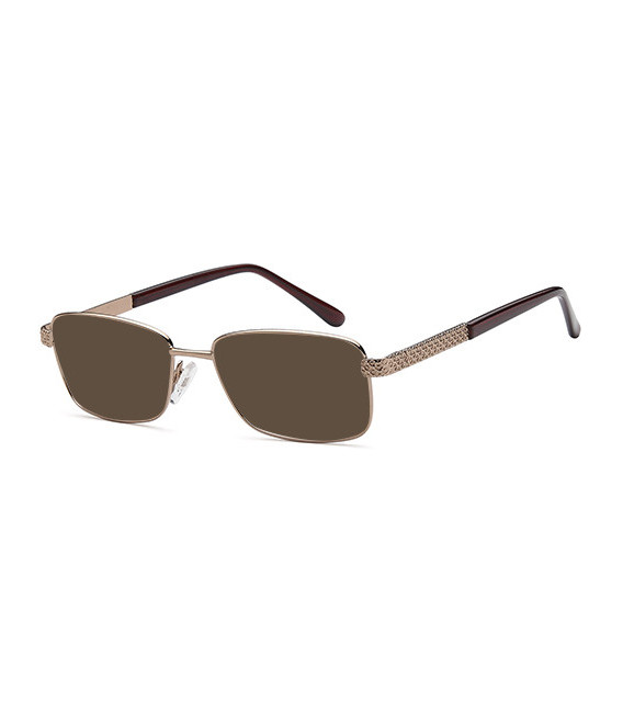 SFE-10809 sunglasses in Bronze