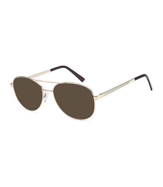 SFE-10806 sunglasses in Gold
