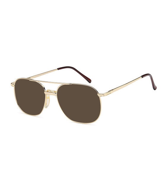 SFE-10805 sunglasses in Gold