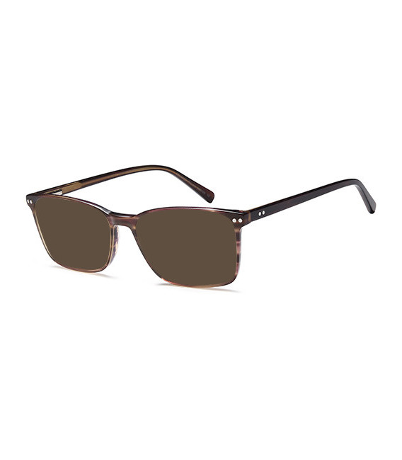 SFE-10774 sunglasses in Brown
