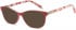 SFE-10768 sunglasses in Pink