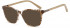 SFE-10766 sunglasses in Brown Demi