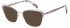 SFE-10764 sunglasses in Purple Silver