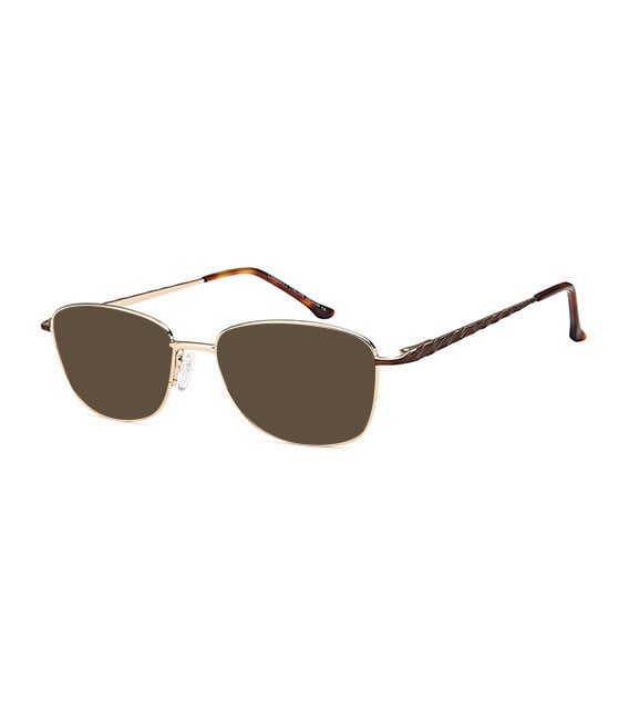 SFE-10752 sunglasses in Gold/Brown