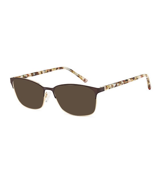 SFE-10733 sunglasses in Brown