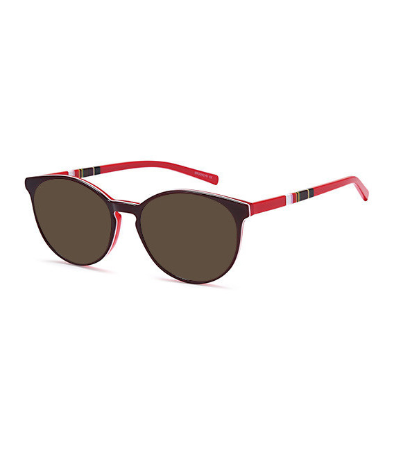 SFE-10719 sunglasses in Burgundy
