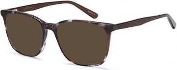 SFE-10718 sunglasses in Brown/Blue