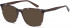 SFE-10718 sunglasses in Brown/Blue
