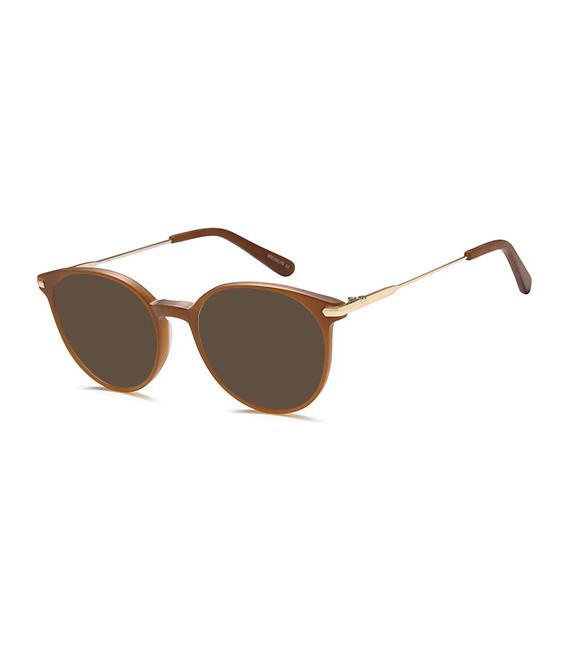 SFE-10682 sunglasses in Brown