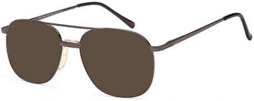 SFE-10805 sunglasses in Bronze