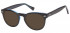 Sunglasses in Black/Clear Blue