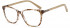 SFE-10766 glasses in Brown Demi