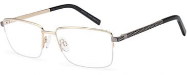 SFE-10749 glasses in Gold