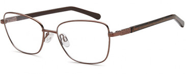 SFE-10746 glasses in Bronze