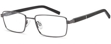 SFE-10744 glasses in Gun