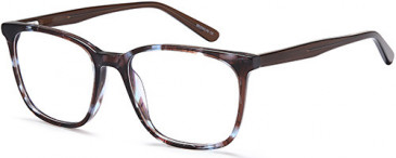 SFE-10718 glasses in Brown/Blue