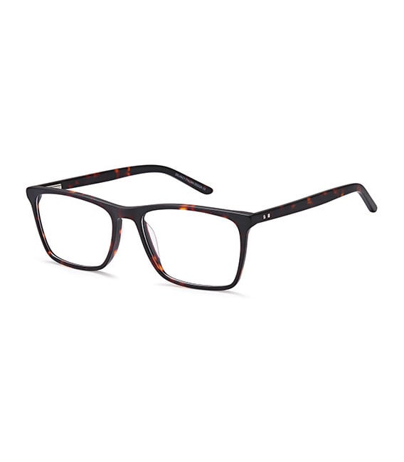 SFE-10784 glasses in Havana