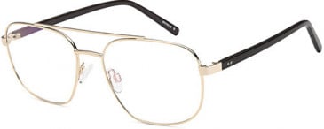 SFE-10729 glasses in Gold