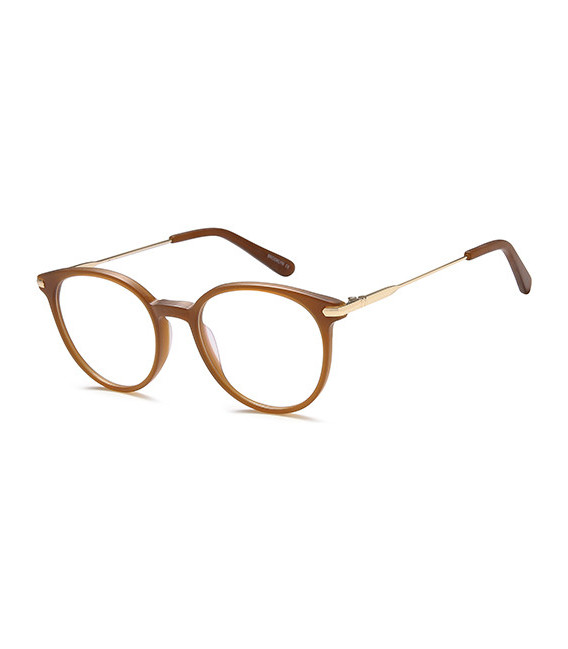 SFE-10682 glasses in Brown