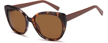 SFE-10848 sunglasses in Mottled Brown