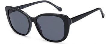 SFE-10846 sunglasses in Black