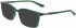 Dragon DR2020 sunglasses in Shiny Olive Crystal