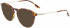 Skaga SK2864 JORD sunglasses in Dark Havana