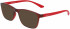 CALVIN KLEIN OPTICAL CK19571 glasses in RED
