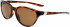 Nike NIKE CITY PERSONA P DM0082 sunglasses in Soft Tortoise/Brown Polarized