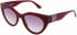 Karl Lagerfeld KL6047S sunglasses in Burgundy