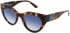Karl Lagerfeld KL6047S sunglasses in Tortoise