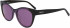 DKNY DK533S sunglasses in Dark Tortoise/Purple