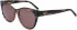 DKNY DK533S sunglasses in Black Tortoise/Mauve