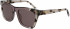 DKNY DK529S sunglasses in Ivory Tortoise/Khaki