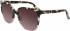 Calvin Klein CK21707S sunglasses in Ivory Tortoise