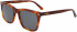 Calvin Klein CK21507S sunglasses in Honey Tortoise