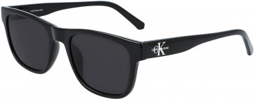 Calvin Klein Jeans CKJ20632S sunglasses in Black