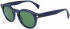 Lanvin LNV610S sunglasses in Striped Blue
