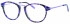 Synergy SYN6034 glasses in Purple