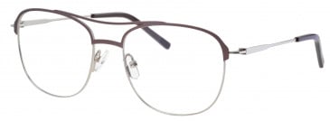 Synergy SYN6037 glasses in Brown/Silver