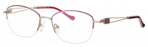 Ferucci Titanium FE732 glasses in Wine/Gold