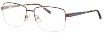 Ferucci FE2038 glasses in Bronze