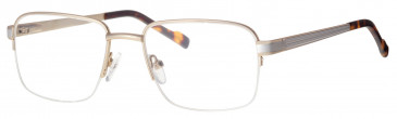 Ferucci FE2039 glasses in Gold