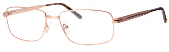 Ferucci FE2041 glasses in Gold