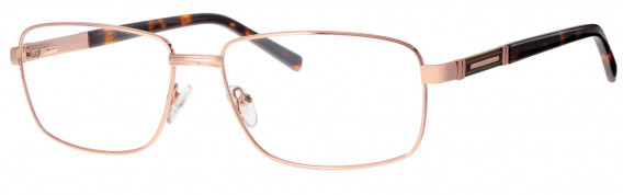 Ferucci FE2042 glasses in Gold