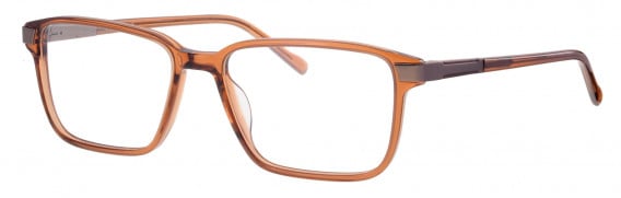 Ferucci FE198 glasses in Brown