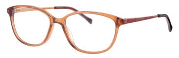Ferucci FE481 glasses in Brown